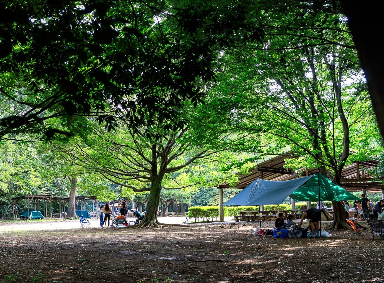 🌳 21세기의 숲과 광장 (니주잇세이키노모리토히로바) 이미지 5